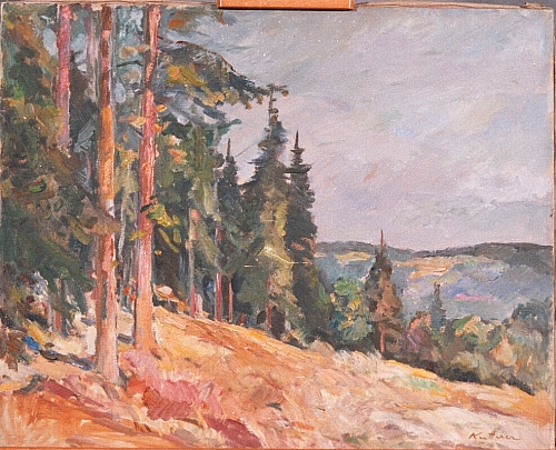 August Kutterer - Waldlichtung am Hang mit Tannenbäumen, Herrenwies