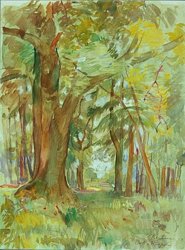 August Kutterer - Waldweg umgeben von hohen Bäumen