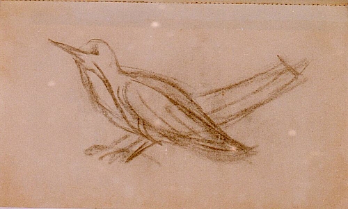 August Kutterer - Skizze eines Vogels