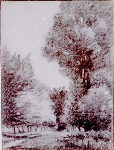 August Kutterer - Bäume an kleiner Lichtung
