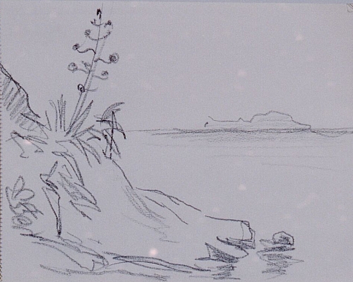 August Kutterer - Felsenküste mit Pflanzen und Insel am Horizont im Meer