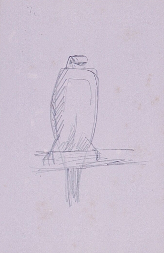 August Kutterer - Skizze eines Vogels auf einem Ast