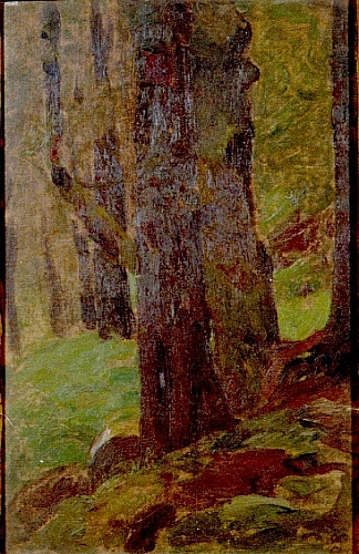 August Kutterer - Künstler Gustav Kampmann
<br>Waldinneres dichter Wald
<br>