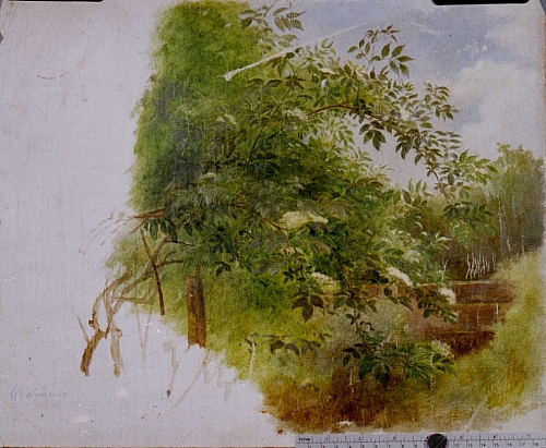 August Kutterer - Künstler Stratmeier:
<br>Auenlandschaft
<br>
<br>