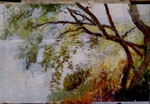 August Kutterer - Künstler Stratmeier:
<br>Baum mit Zweigen weit in einen Fluss ragend
<br>