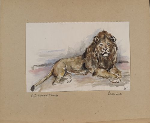 August Kutterer - Künstlerin Lilli Hummel Koenig (1901-1975):  Löwenstudie